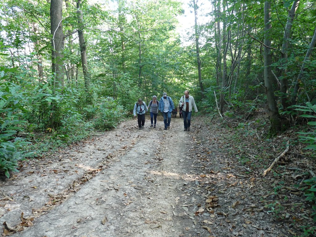 2014-09-14 Château de la Madeleine-0011.JPG